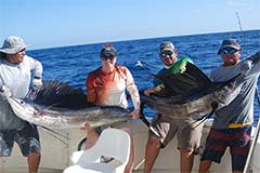 isla mujeres fishing - deep sea fishing isla mujeres